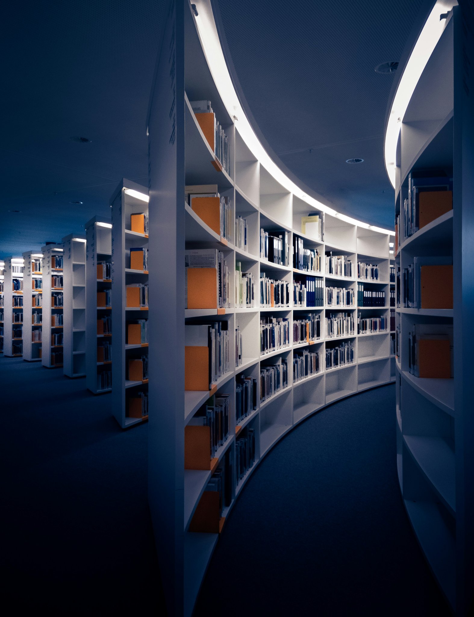 Curved library shelving — research and market intelligence